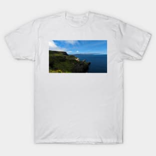Channel Islands National Park Santa Cruz Island T-Shirt